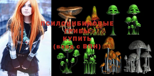 эйфоретик Вязники